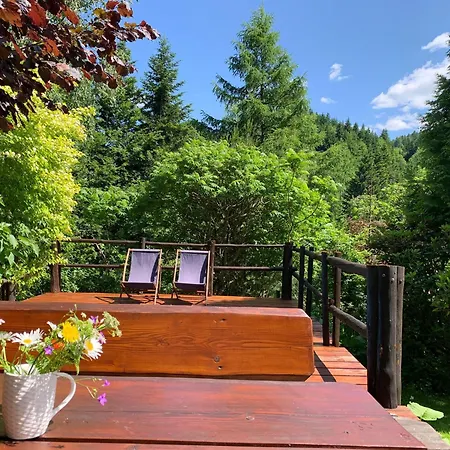 Σαλέ Dom W Gorach