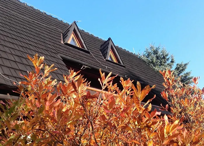 Dom W Gorach Chalet *